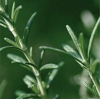 Creme calmante com barreira de hidratação