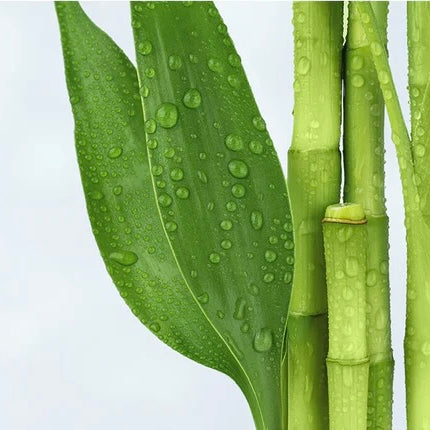 Aqua Glowing Sunscreen