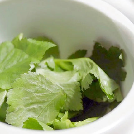 espuma de limpeza