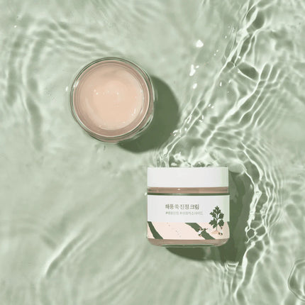Creme Calmante de Artemísia