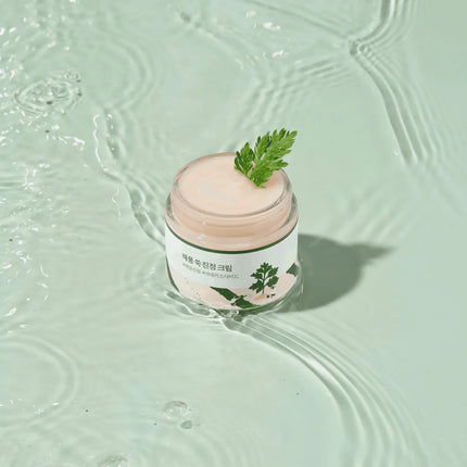 Creme Calmante de Artemísia