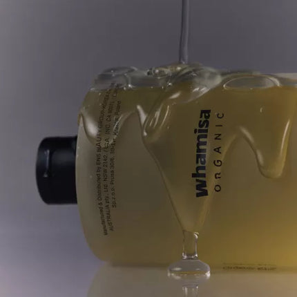 Shampoo de sementes orgânicas para couro cabeludo oleoso