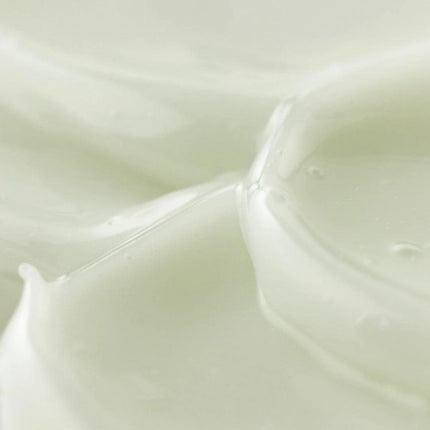 Light On Serum : Centella + Vitamin C